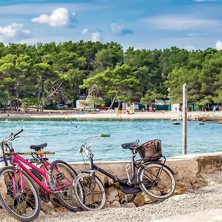 Apartment Pet Friendly In Krk With Wifi *